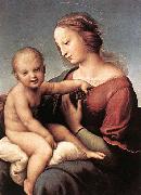 RAFFAELLO Sanzio Madonna and Child oil painting reproduction